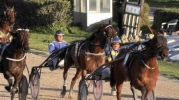 6th horse-racing meeting 2014 – 23rd February
