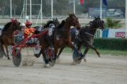 11th horse-racing meeting 2013 – 31st March