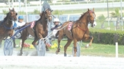 20th and 21st horse-racing meetings 2012 – 20th and 22nd April 