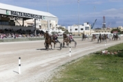 9th horse-racing meeting 2014 (postponed) – 16th March