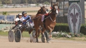 18th horse-racing meeting 2013 – 5th May 