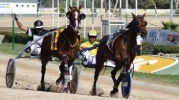 22nd horse-racing meeting 2013 – 26th May 