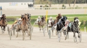 13th  and 14th horse-racing meetings 2012 – 18th and 19th March 