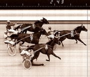 Fourth horse-racing meeting 2011 – 6th February