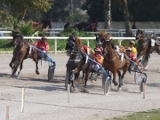 15th horse-racing meeting 2012 – 25th March